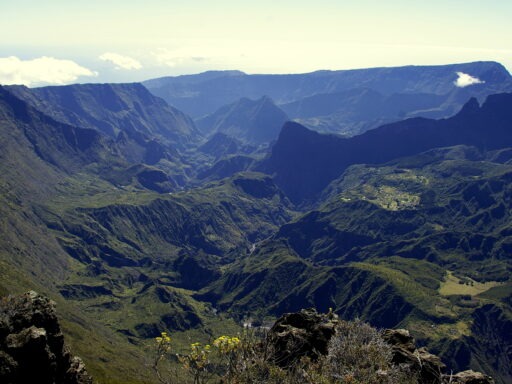 courir à la réunion