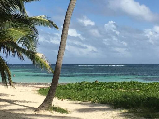 courir en martinique