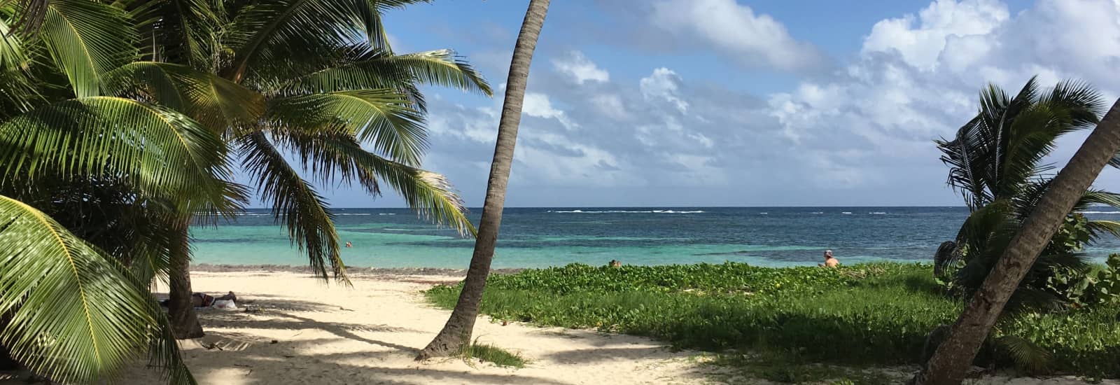 courir en martinique