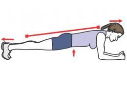 exercices de renforcement musculaire : gainage planche